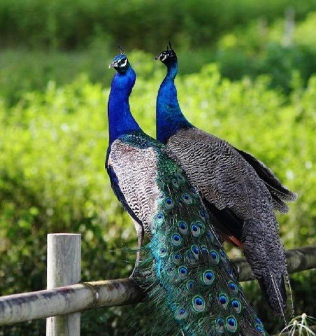 Culla Lodge Inhambane Bagian luar foto